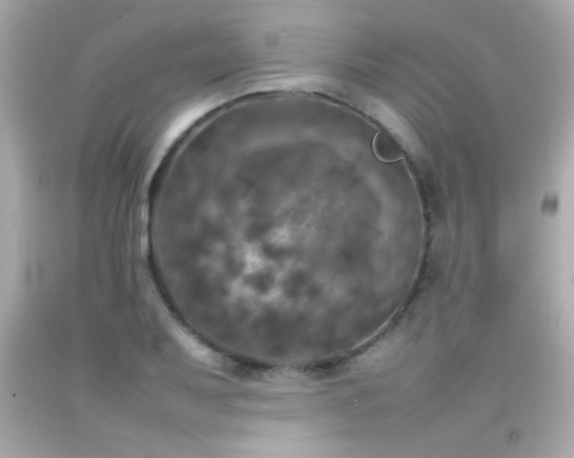 X0000092091079200709121508