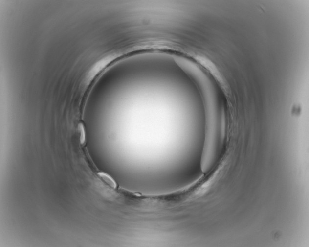 X0000092091081200709121508