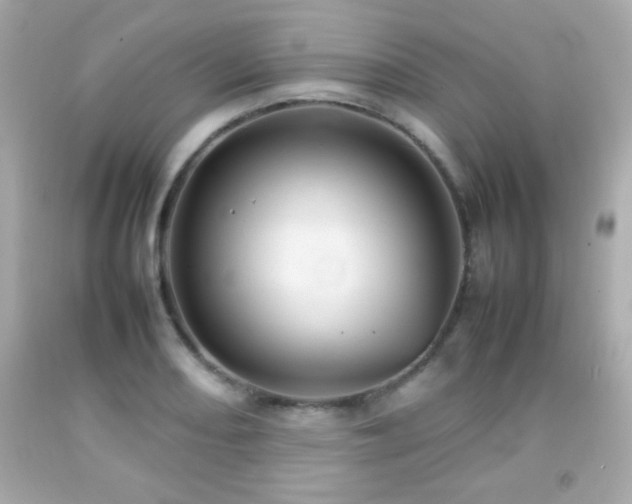 X0000092091082200709121508
