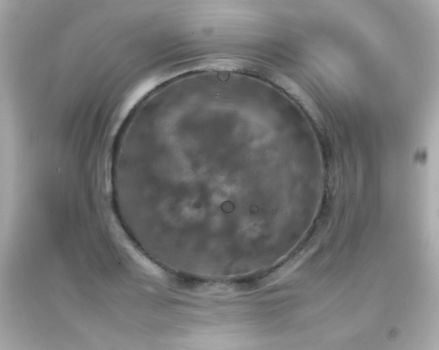 X0000092091083200709121508