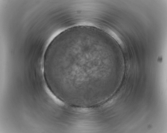 X0000092091084200709121508
