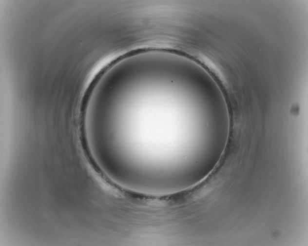 X0000092091085200709121508