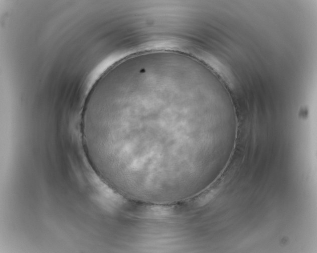 X0000092091086200709121508