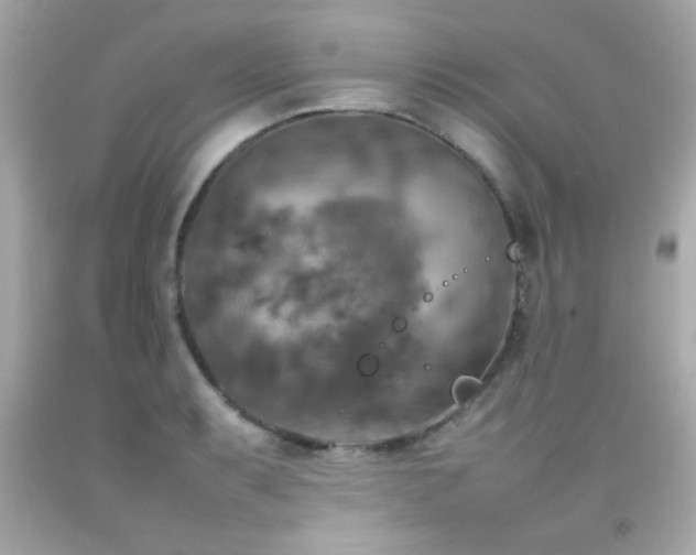 X0000092091087200709121508
