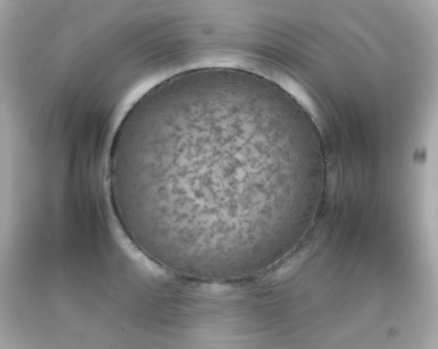 X0000092091088200709121508