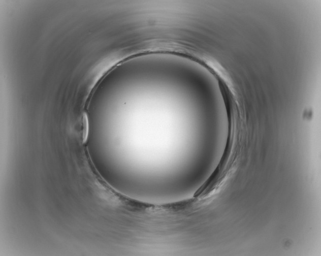 X0000092091089200709121508