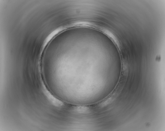 X0000092091090200709121508