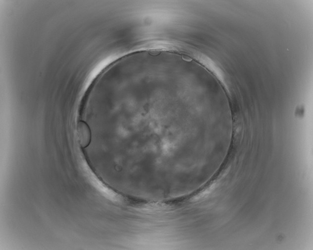 X0000092091091200709121508