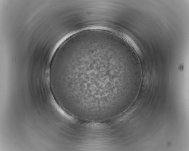 X0000092091092200709121508