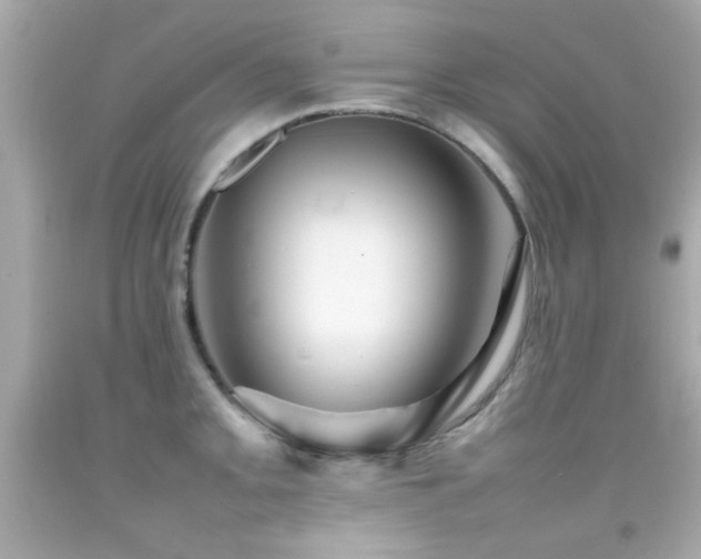 X0000092091093200709121507
