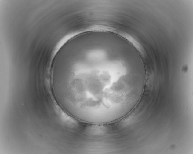 X0000092091094200709121507