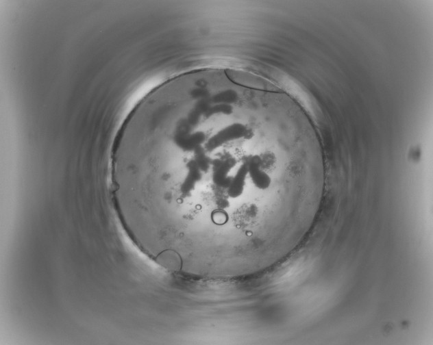 X0000092091095200709121507