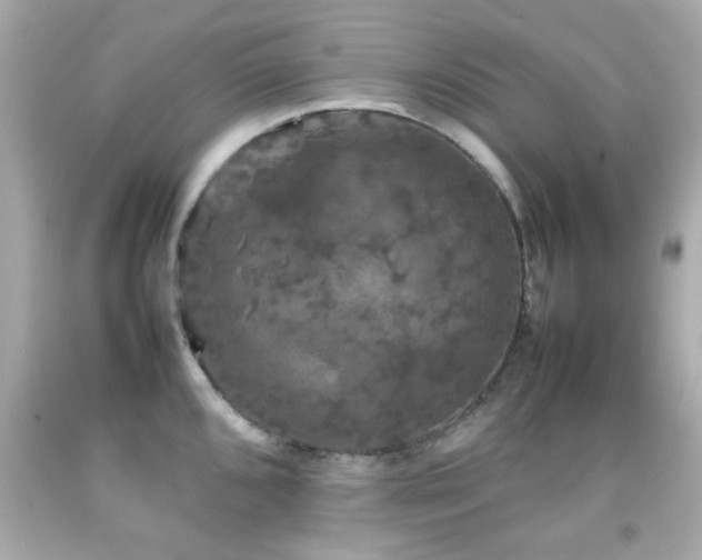 X0000092091096200709121507