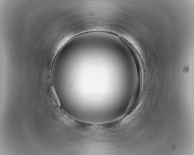 X0000092091097200709121507