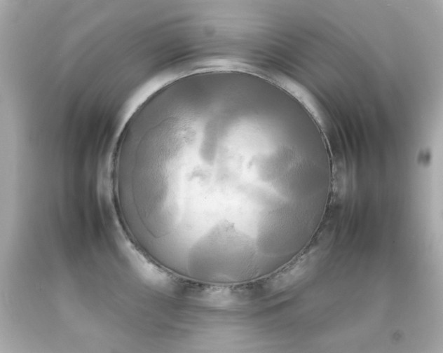 X0000092091098200709121507