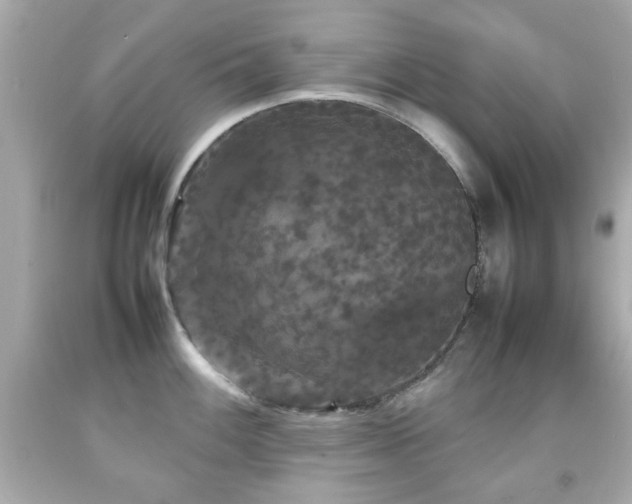 X0000092091100200709121507