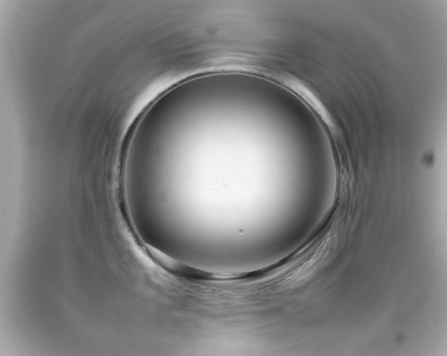 X0000092091101200709121507