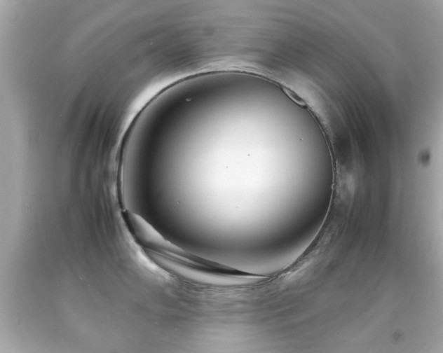X0000092091102200709121507