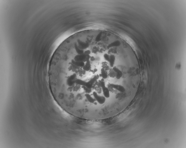 X0000092091103200709121507