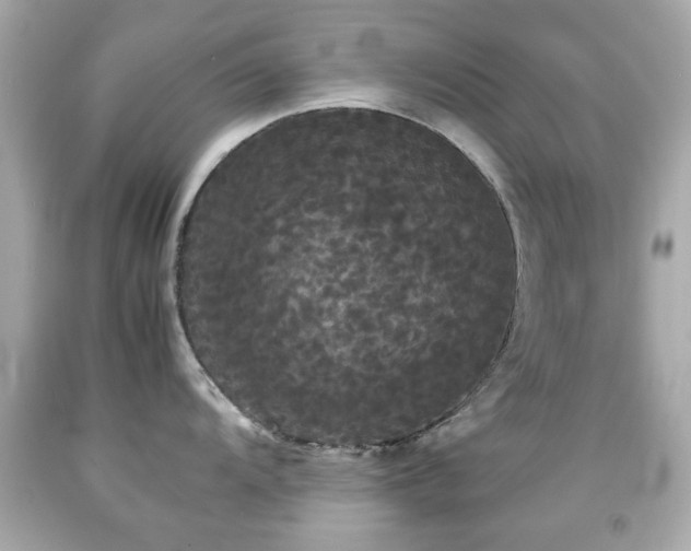 X0000092091104200709121507