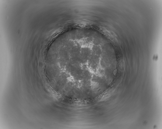 X0000092091105200709121507