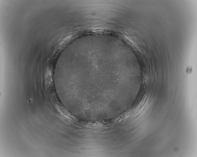 X0000092091106200709121507