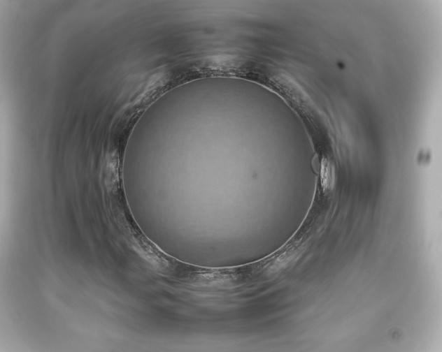 X0000092091107200709121507