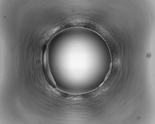 X0000092091108200709121507