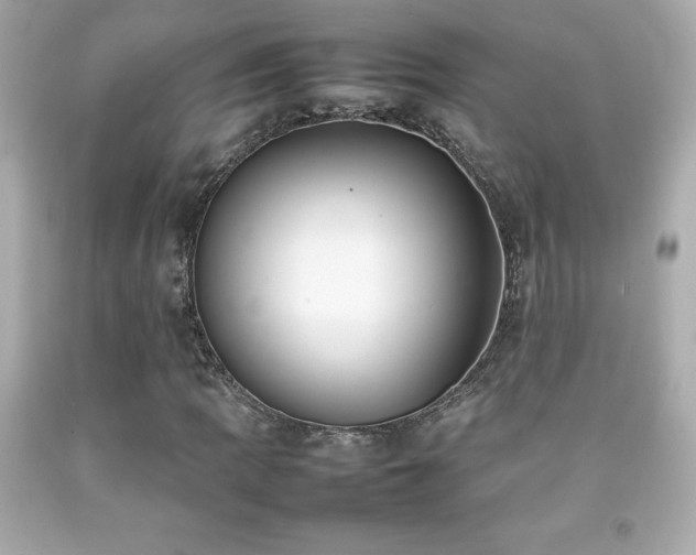 X0000092091109200709121507
