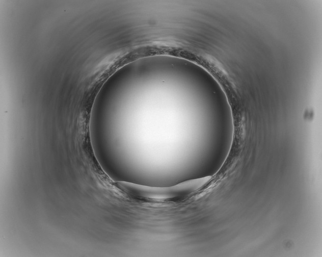 X0000092091110200709121507