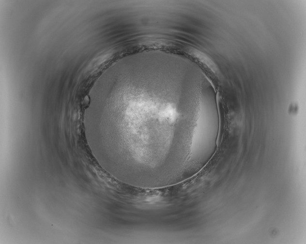 X0000092091111200709121507
