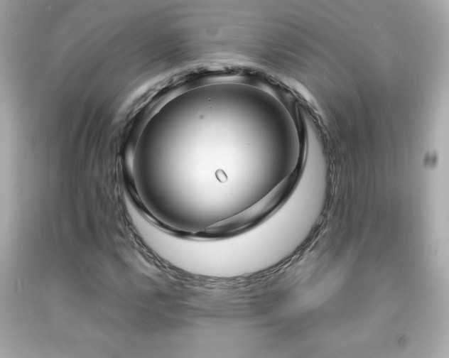 X0000092091112200709121507