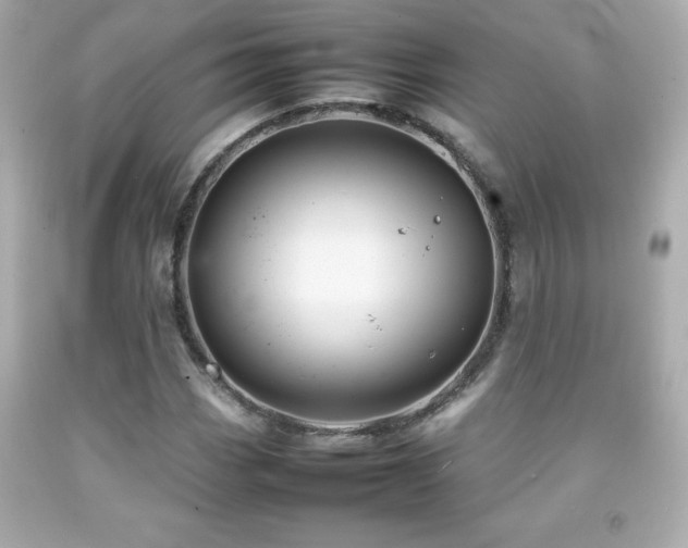 X0000092091113200709121507