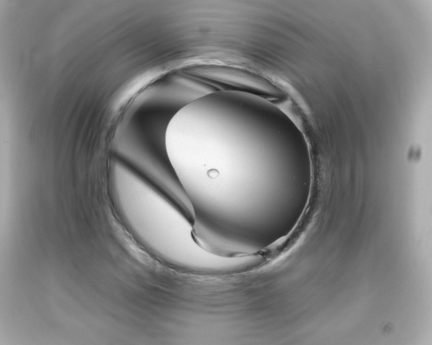 X0000092091114200709121507