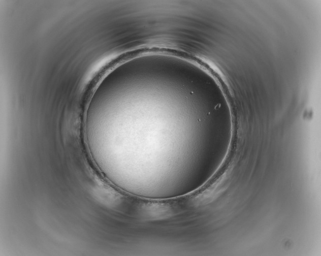 X0000092091115200709121507