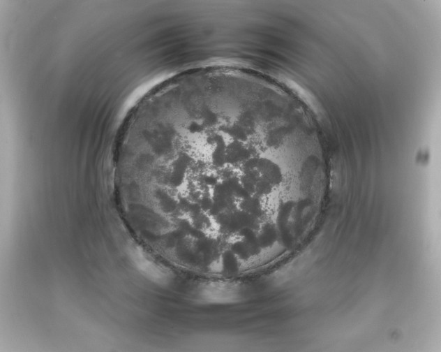 X0000092091117200709121507