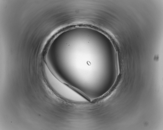 X0000092091118200709121507