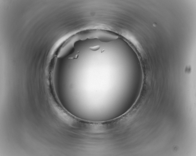 X0000092091120200709121507