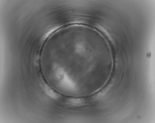 X0000092091121200709121507