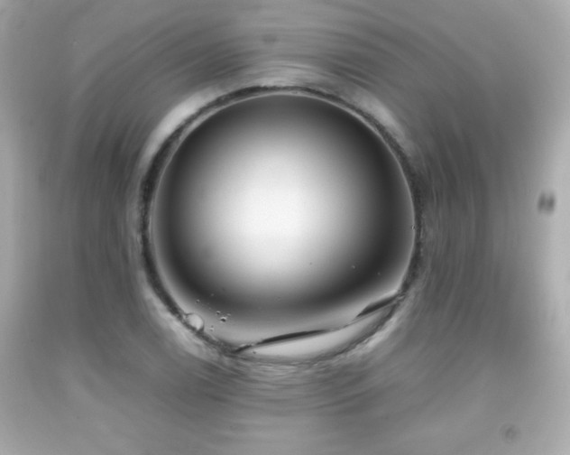 X0000092091122200709121507