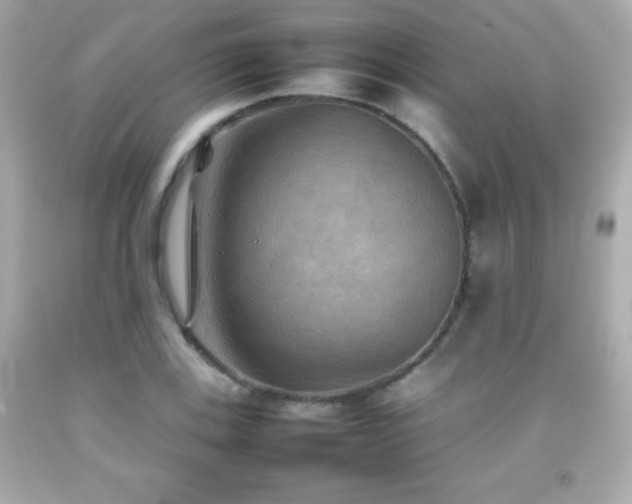 X0000092091123200709121507
