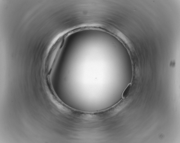 X0000092091124200709121507