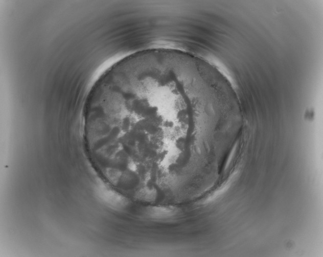 X0000092091125200709121507