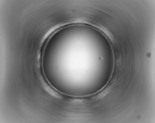 X0000092091126200709121507