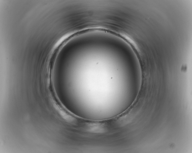 X0000092091127200709121507