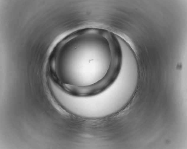 X0000092091128200709121507