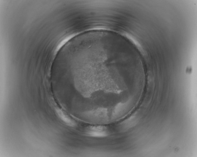 X0000092091129200709121507