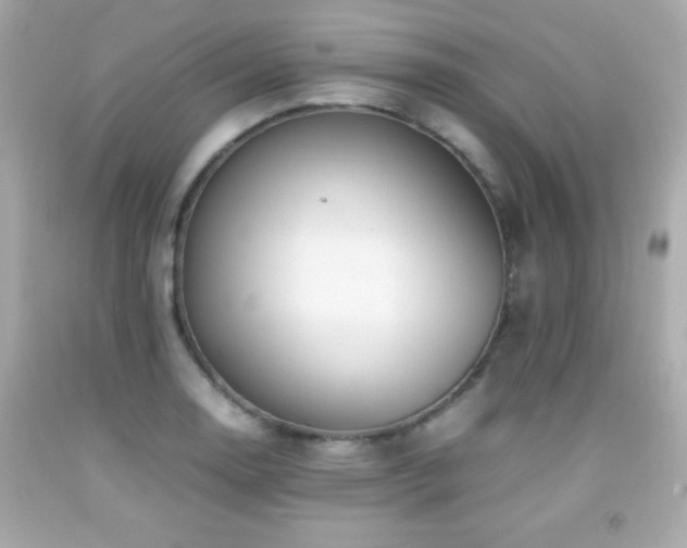 X0000092091130200709121507