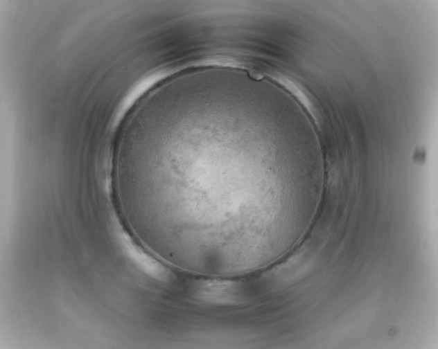 X0000092091131200709121507