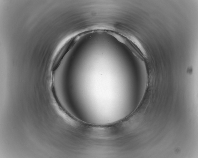 X0000092091132200709121507